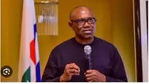 govt not paying sufficient attention to economic management issues, says obi