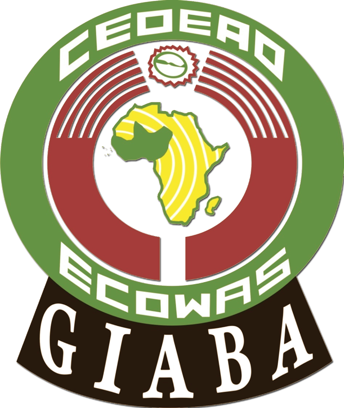 GIABA queries Nigeria’s presence on FATF grey list