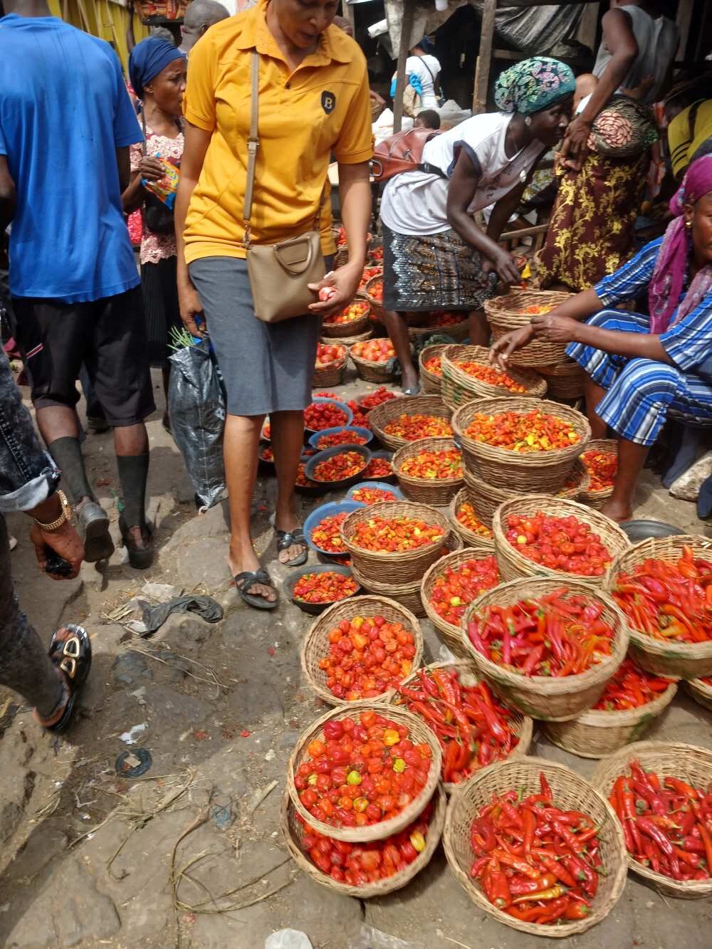 Nigeria eyes food export reforms, others